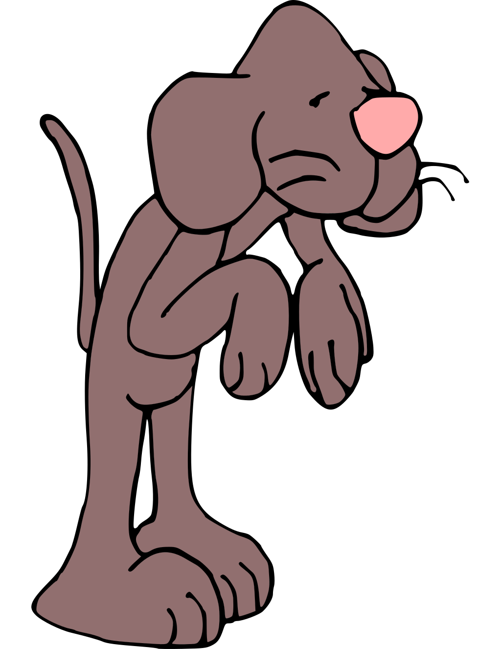 Animals coloring page preview