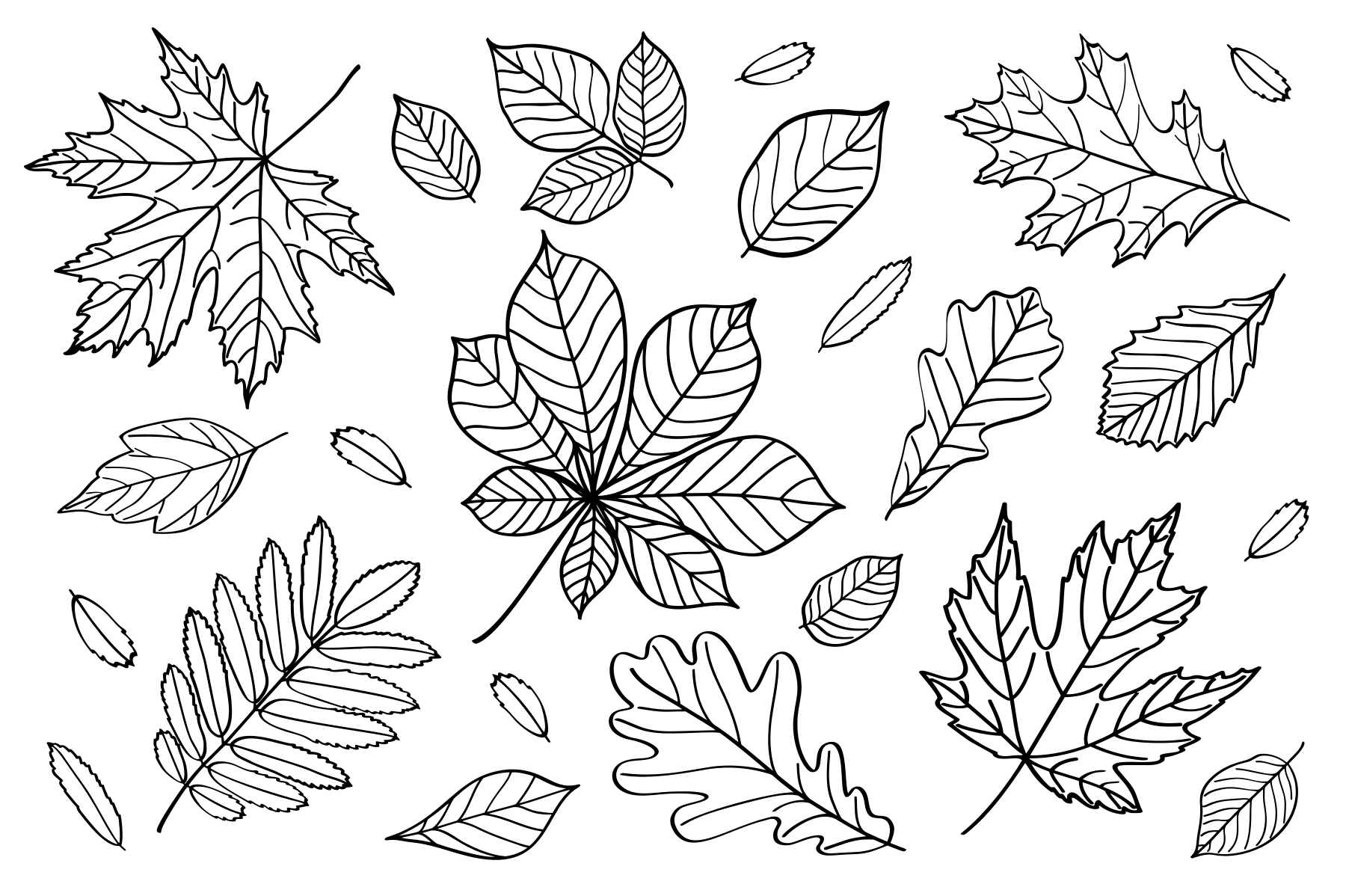 Autumn coloring page preview
