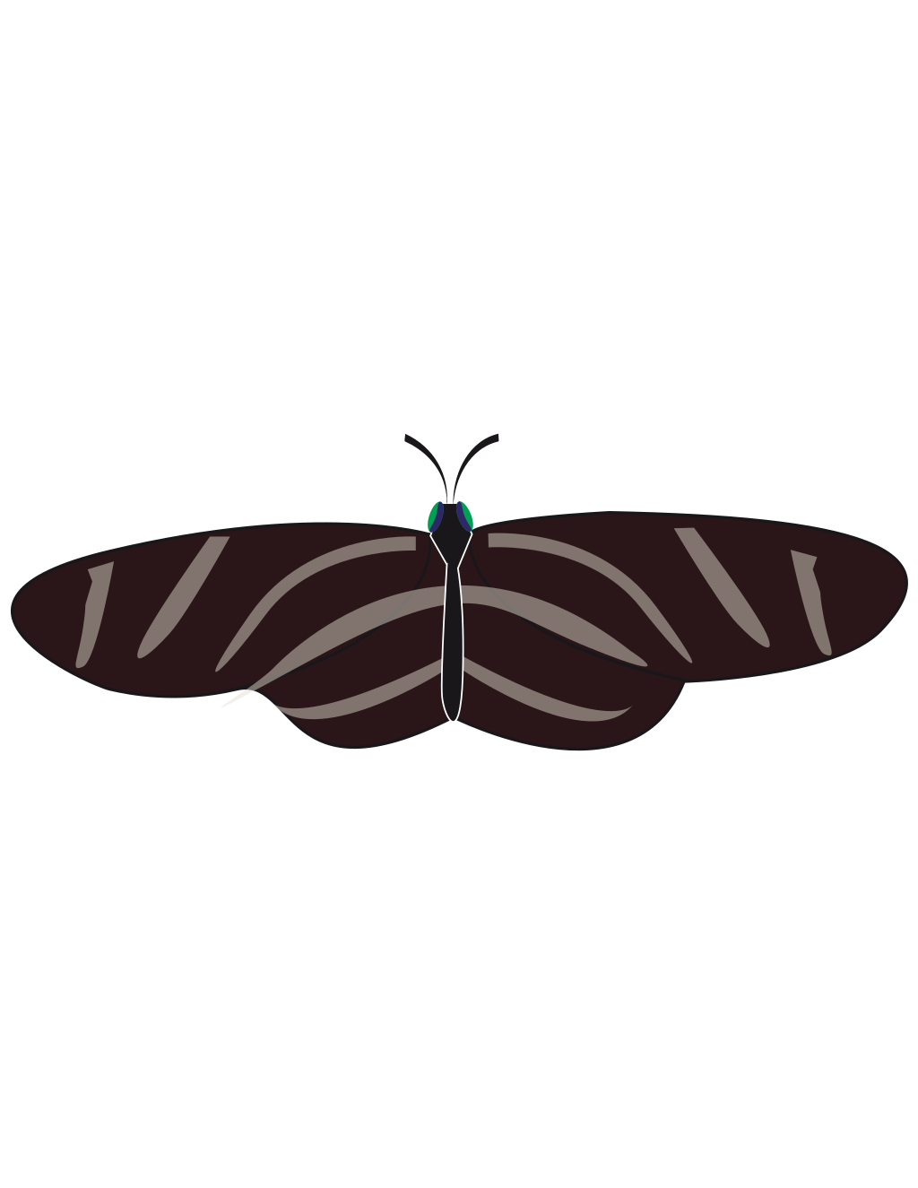 Butterfly Outline printable butterflies coloring page