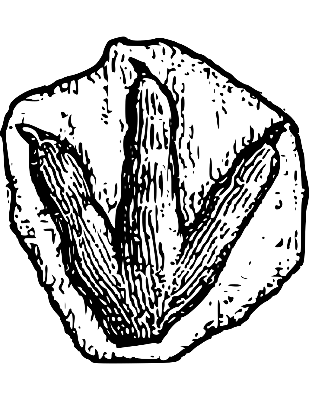 Dinosaur Footprint printable dinosaurs coloring page