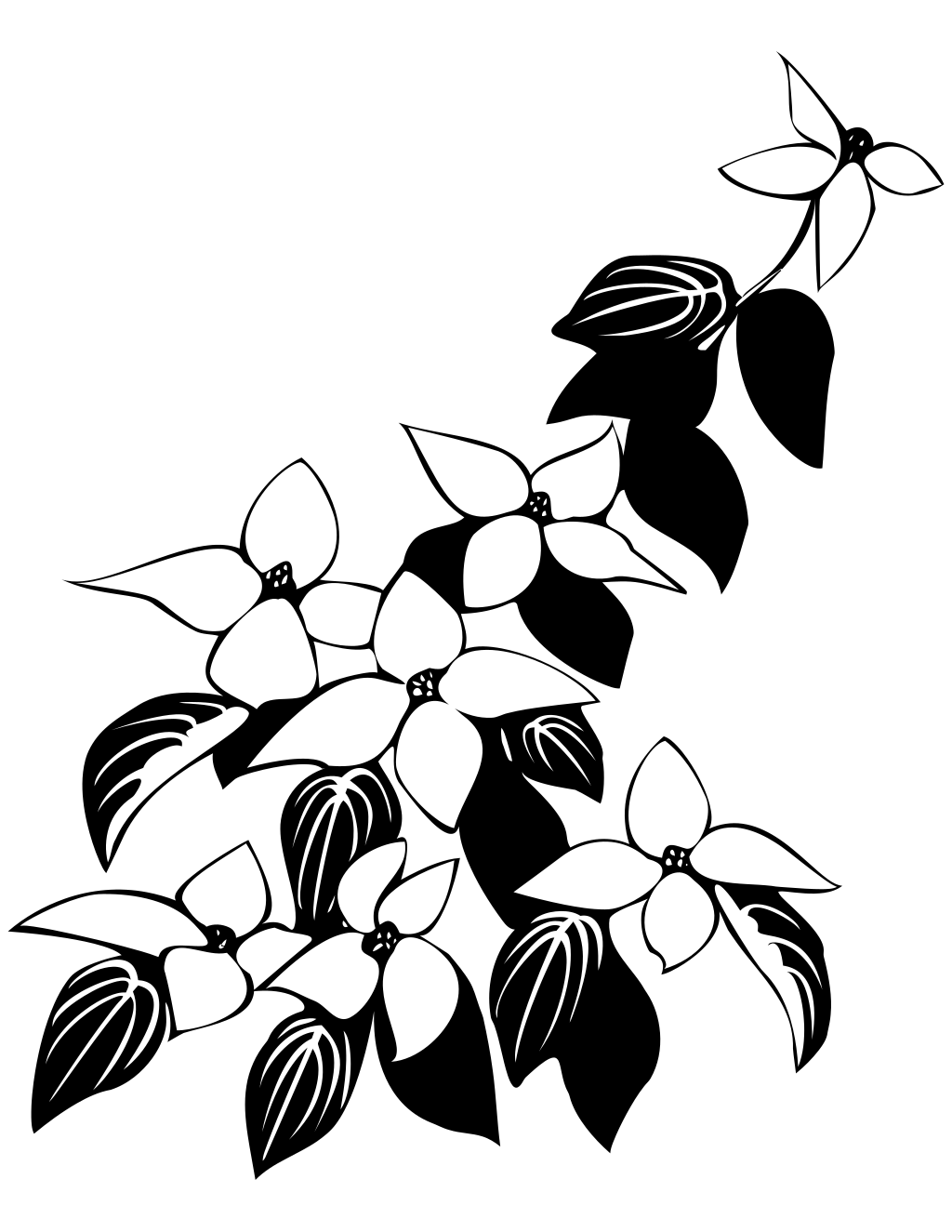 Flowers And Leaves printable fall coloring page