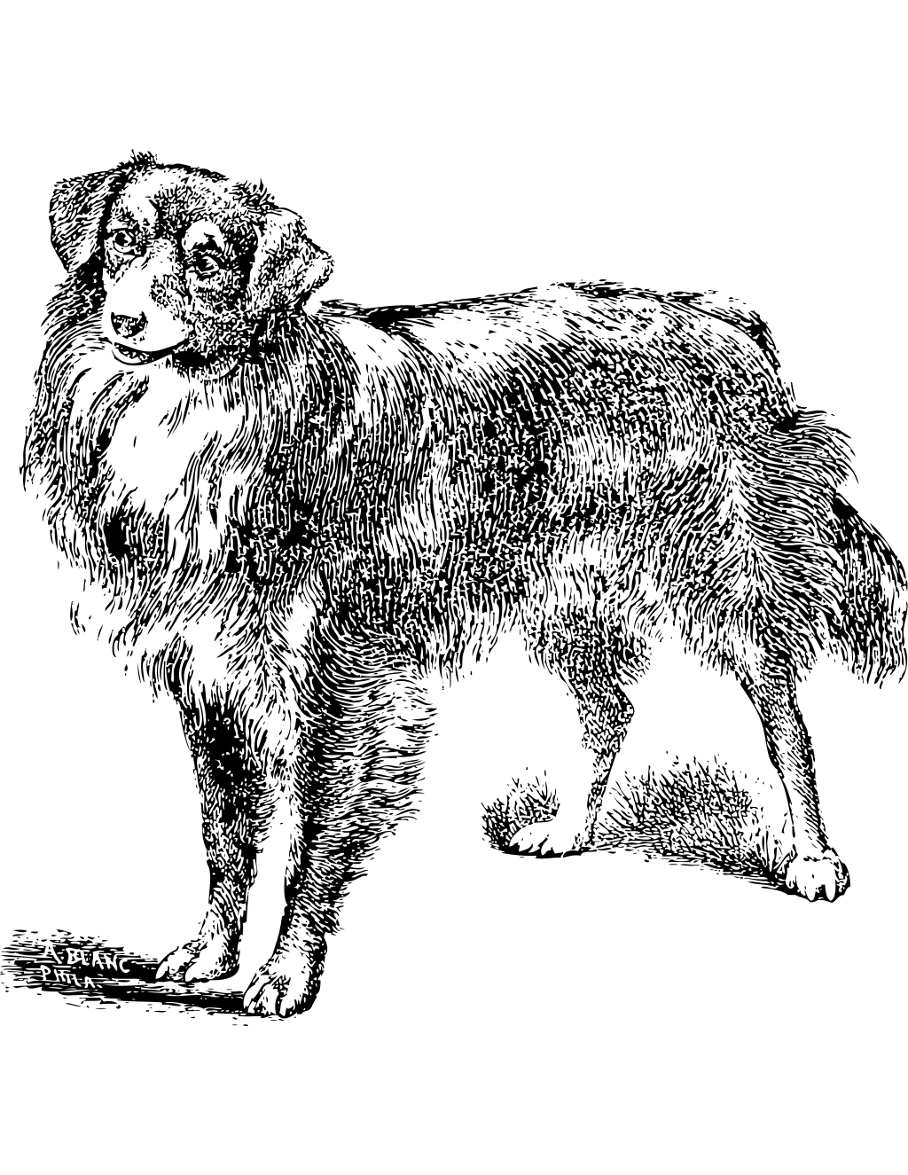 Friendly Dog printable puppies coloring page