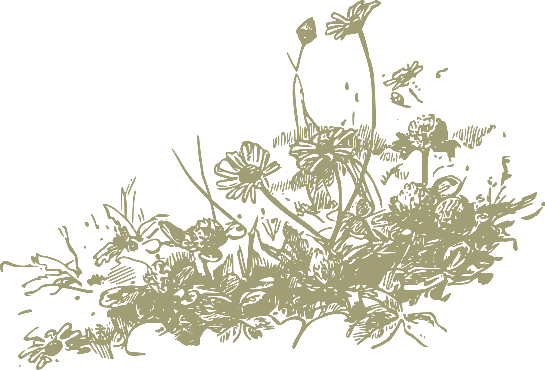 Wildflowers Line Art printable march coloring page