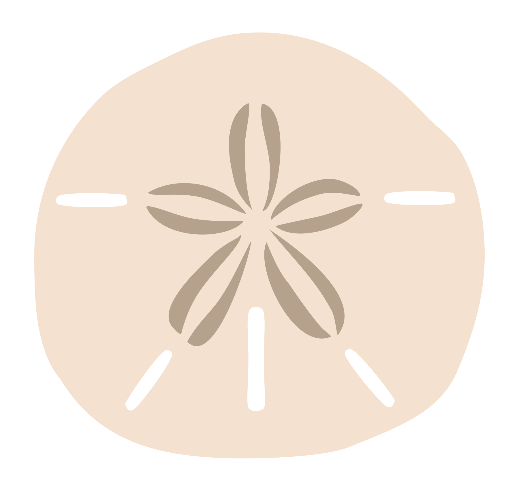 Sand Dollar printable june coloring page