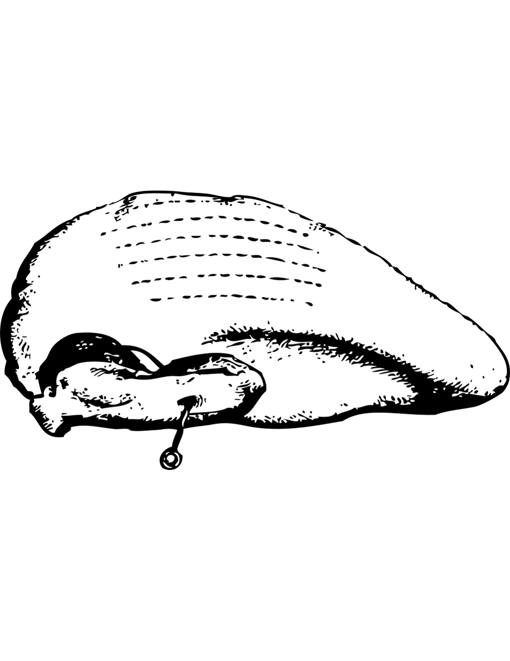 Boiled Turkey Vector Image printable turkey coloring page