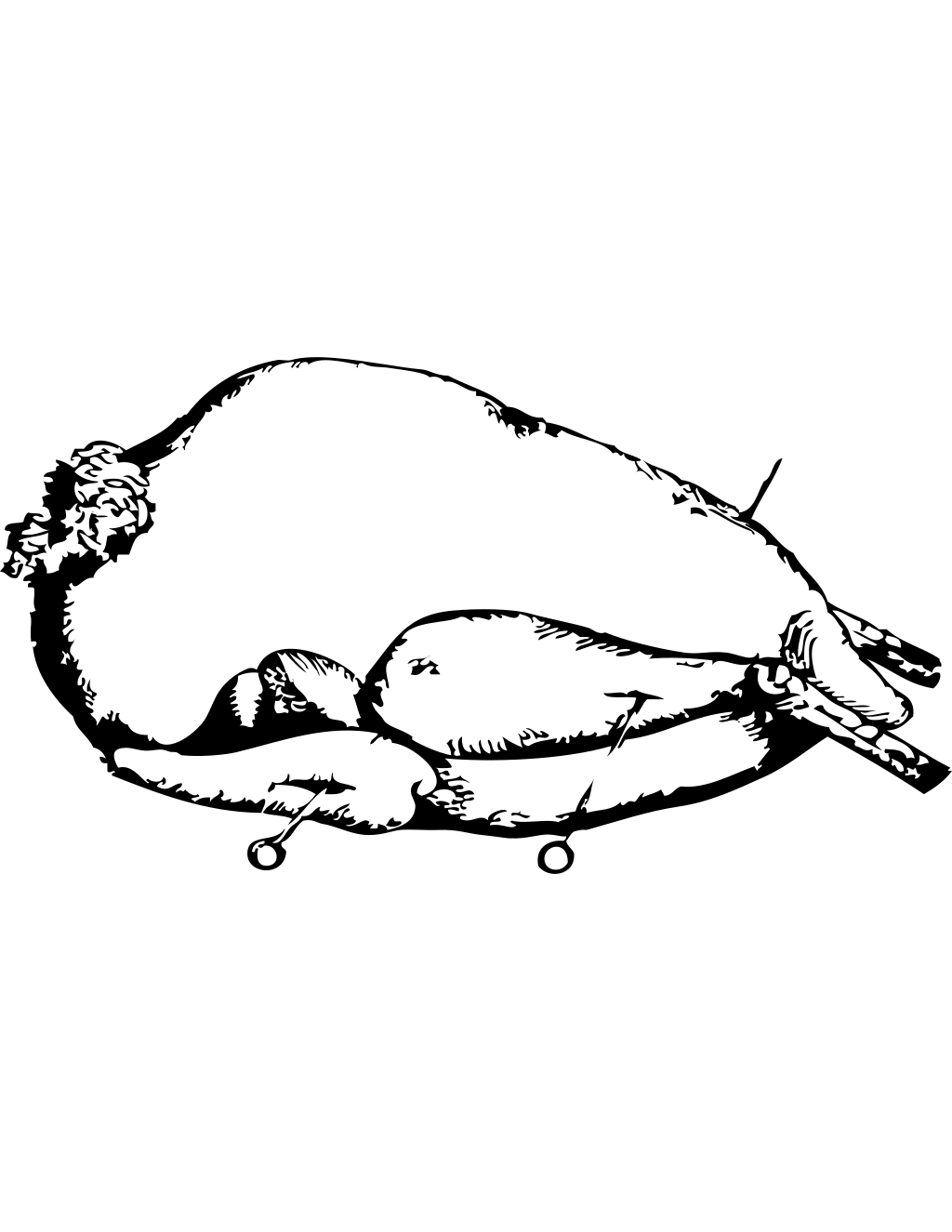 Roast Turkey Vector printable turkey coloring page
