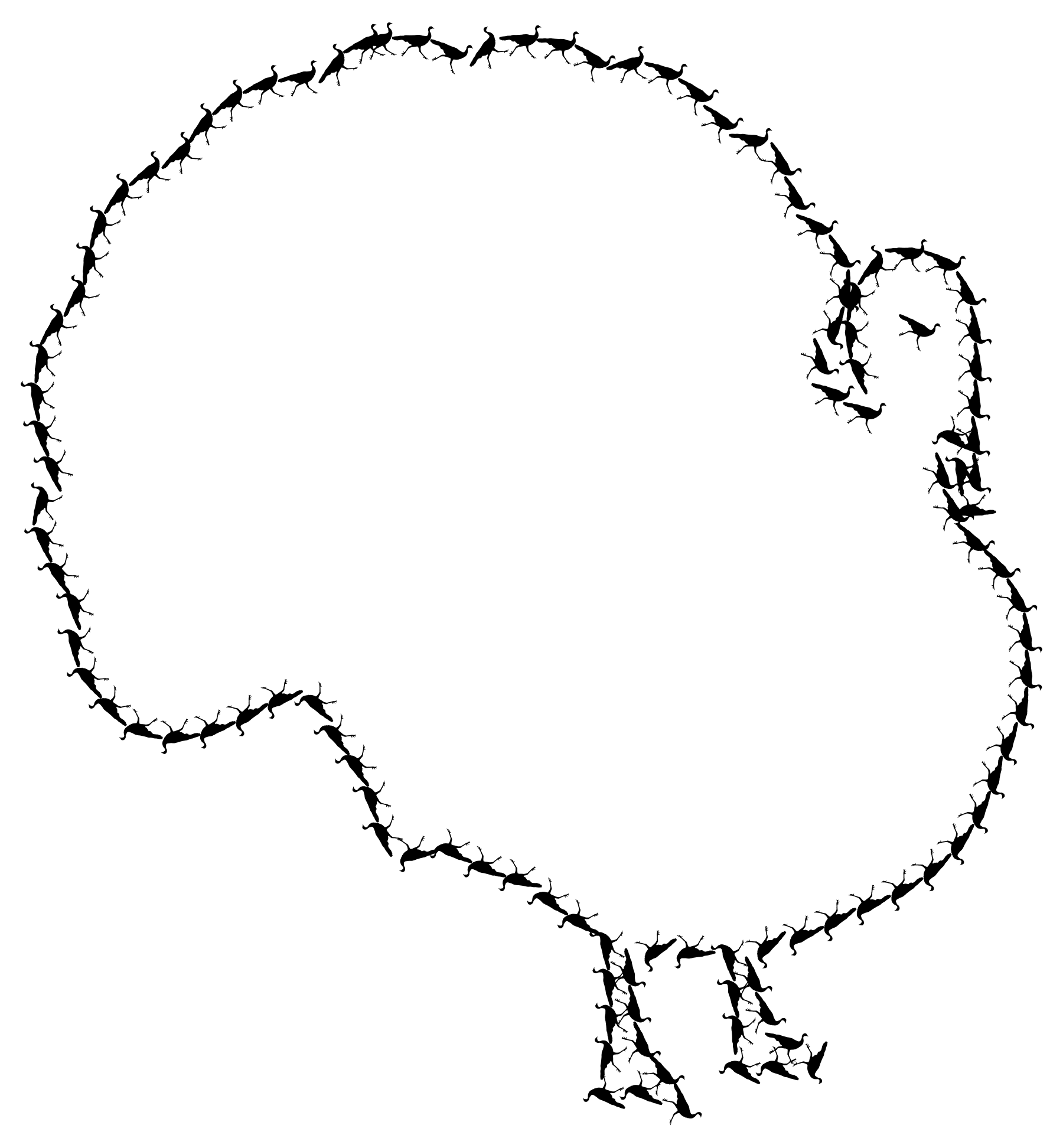 Turkey Outline printable easy coloring page