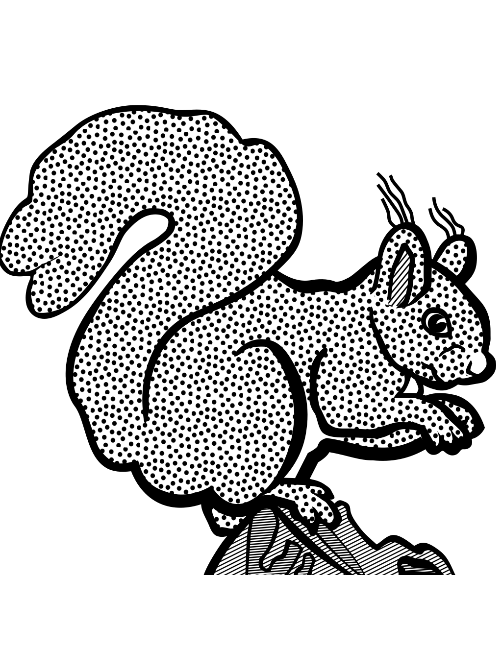 Coloring Book Squirrel printable animals coloring page