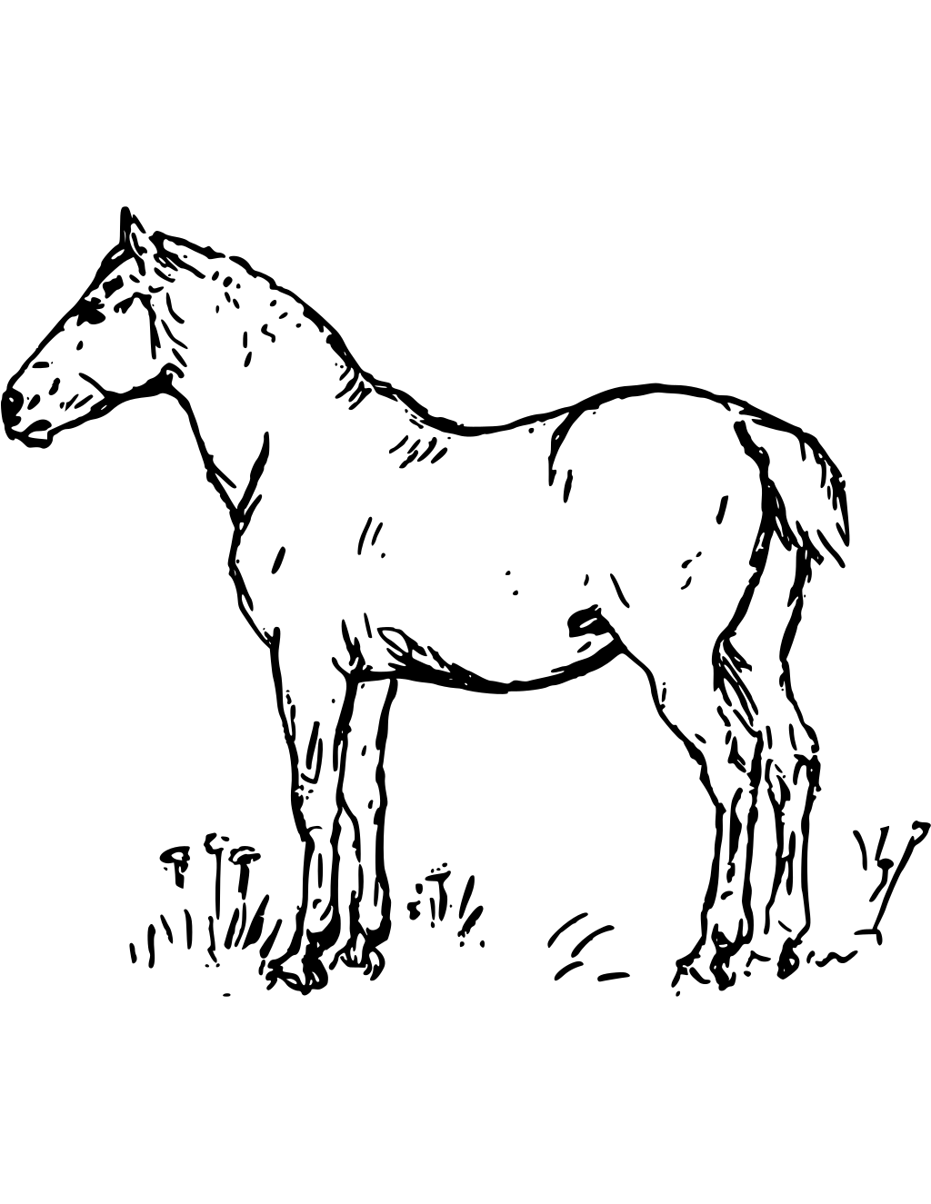 Vector Drawing Of Grayscale Funny Horse printable horses coloring page