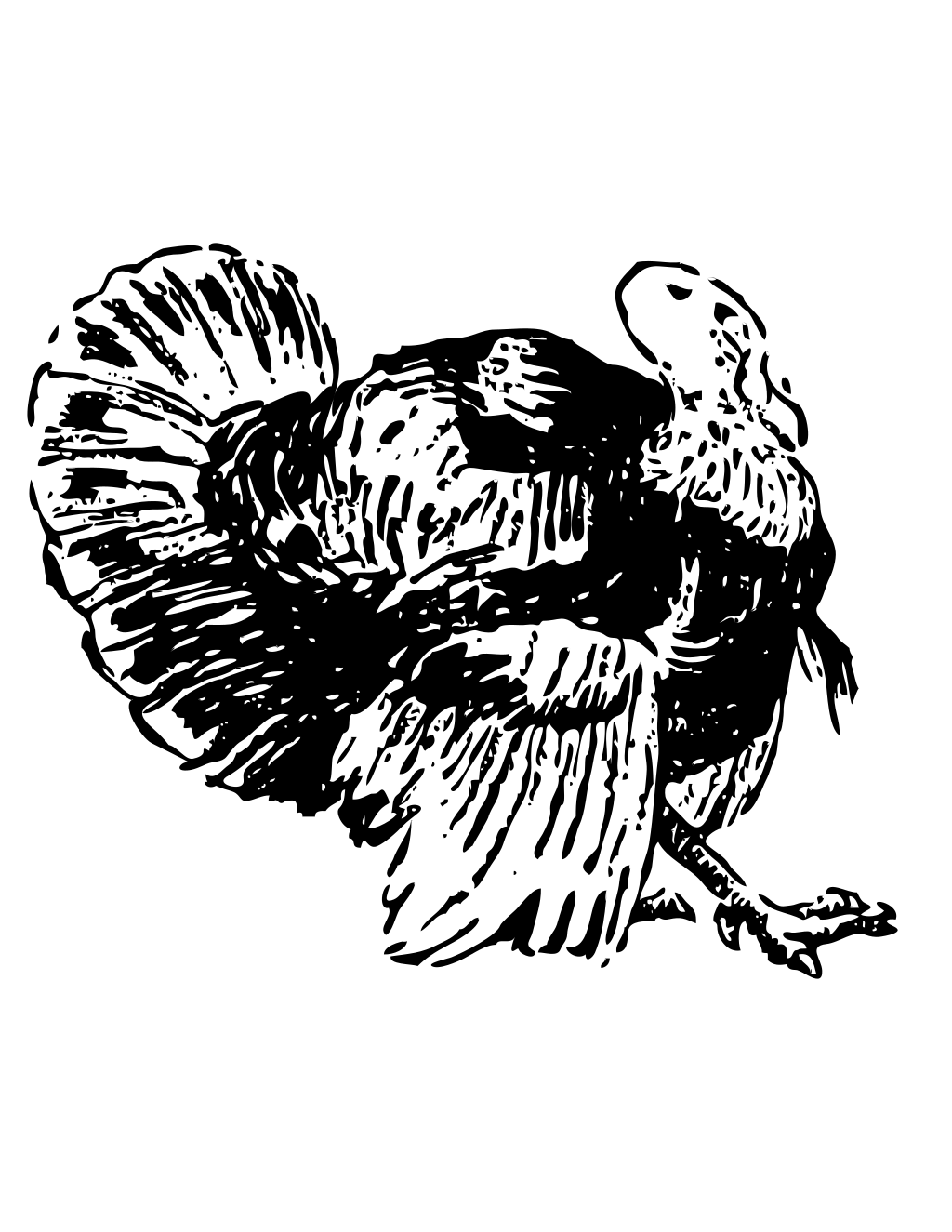 Line Art Vector Drawing Of Turkey printable thanksgiving coloring page